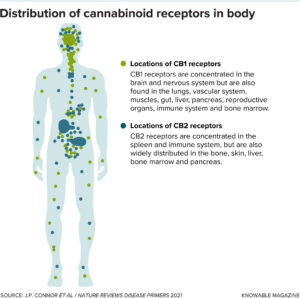 kannabiodiol